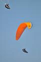 090314 parapendio monfestino